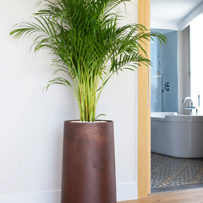 NOVO-High-plant-pot-Hobby-Flower-290959-rel42ccafed.jpg